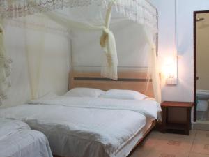 阳朔阳朔逸龙苑特色民宿的一间卧室配有两张床和一张天蓬床。