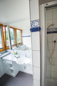 巴尔辛格豪森福克斯巴克塔尔运动酒店的一间带水槽和淋浴的浴室