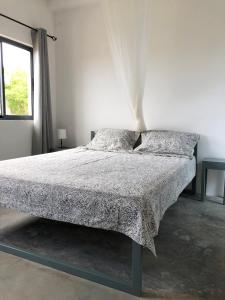 LazarettoCasa Palmeira的白色客房的一张床位,配有两个枕头