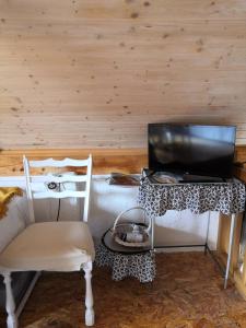 Tomaševcismještaj Mala Zidanica的一间卧室配有一张桌子、一台电视和一把椅子