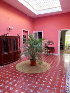 圣玛丽亚港Patios del Agua的一间有粉红色墙壁的房间,里面装有盆栽植物