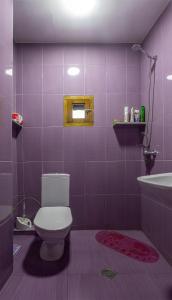 第比利斯Apartment in the heart of Old Tbilisi的紫色浴室设有卫生间和水槽