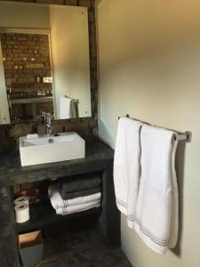 Nieu-BethesdaDie Kapokbosskuur的浴室配有盥洗盆、镜子和毛巾