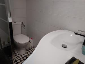 耶尔Rez-de-chaussée privatif spacieux 3* d'une villa centre ville的一间带卫生间和白色水槽的浴室