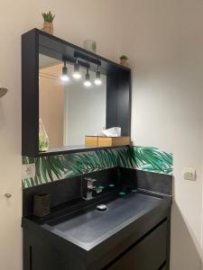 巴黎维洛夫特住宿加早餐旅馆的浴室设有黑色水槽和镜子