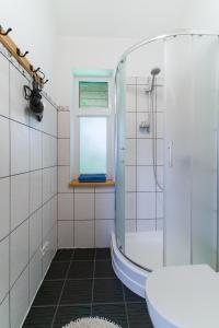 Medemciems塞帕斯旅舍的带淋浴和盥洗盆的浴室
