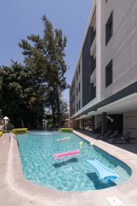瓜达拉哈拉Hotel Ronda Minerva的大楼旁的游泳池