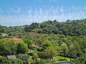 辛特拉Alojamento 3 vistas的享有山丘树木和房屋的景色