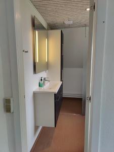 约灵Bjergby Guesthouse的一间带水槽和镜子的浴室