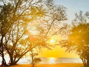 富国Mộc Homestay GrandWorld Phú Quốc的海滩上树木环绕的日落