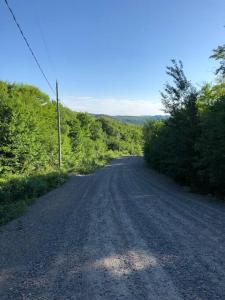 Val-des-LacsQuiet, cozy and comfortable chalet的山坡上树木茂密的土路