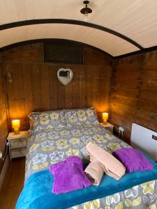 赫里福德Luxury cosy carriage with electric private hot tub的一间卧室配有一张床,上面有两条毛巾