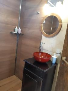 卡法亚特Casas de Cafayate的一间带红色水槽和淋浴的浴室