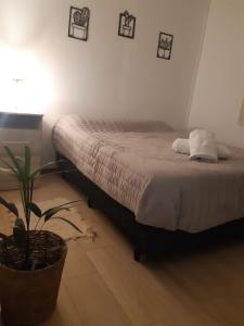卡法亚特Casas de Cafayate的一间卧室配有一张床和盆栽植物