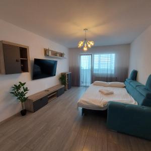 彼得罗沙尼Turquoise apartment的客房设有床、沙发和电视。