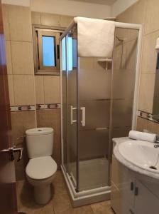拉雷斯廷加VV LA ISLA的带淋浴、卫生间和盥洗盆的浴室