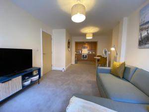 伯恩茅斯1 bedroom apartment in the heart of Bournemouth的客厅配有蓝色的沙发和平面电视。