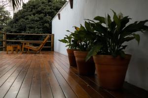 欧鲁普雷图Pouso Jardim de Assis的木甲板上坐着三株盆栽植物