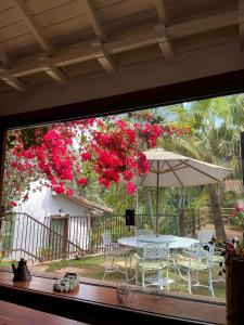 欧鲁普雷图Pouso Jardim de Assis的一个带桌子和遮阳伞的庭院