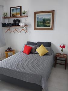 彼得罗波利斯Apartamento aconchegante em Petrópolis的一间卧室配有一张大床,提供红色和黄色枕头
