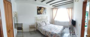 阿纳波伊马Hermosa y espaciosa casa familiar en Anapoima的一间卧室设有一张床和一个窗口