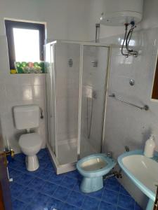 乌马格Apartments by the sea Sveti Ivan, Umag - 7002的带淋浴、卫生间和盥洗盆的浴室