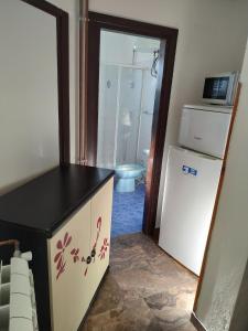 乌马格Apartments by the sea Sveti Ivan, Umag - 7002的带冰箱的厨房和卫生间