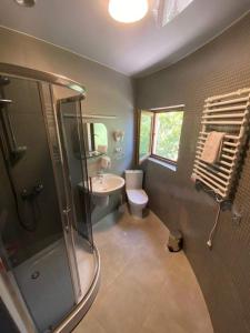 西格纳吉兹维里屋巴尼酒店的带淋浴、卫生间和盥洗盆的浴室