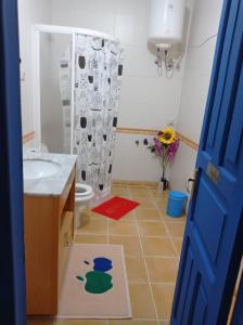 大加那利岛拉斯帕尔马斯Stardust House Vegueta的一间带水槽、卫生间和淋浴的浴室