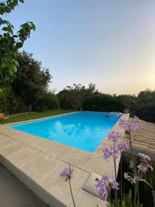 柳奇马约尔Ses Alzines Apartamento integrado en Casa Rural Habitada的一座鲜花盛开的庭院内的游泳池