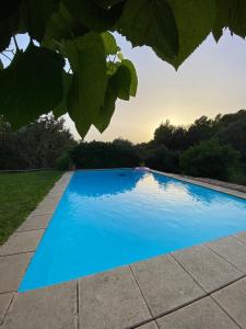 柳奇马约尔Ses Alzines Apartamento integrado en Casa Rural Habitada的院子里的蓝色游泳池