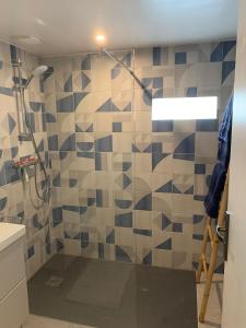Marles-en-BrieL'echappée briarde的浴室设有蓝色和白色瓷砖淋浴。