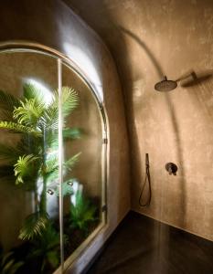 费拉Lotus Cave Villa的一间有窗户的房间,里面装有植物