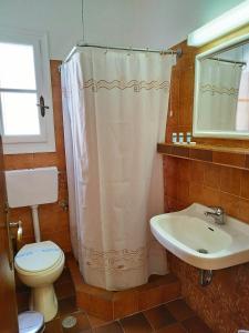 伊奥斯乔拉海神酒店的浴室配有淋浴帘、卫生间和盥洗盆。