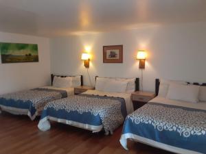 胡尔伯克66 Motel的酒店客房设有两张床和两盏灯。