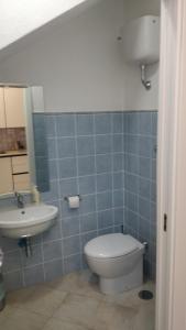 龙奇廖内Agriturismo Lo Scoiattolo的蓝色瓷砖浴室设有卫生间和水槽