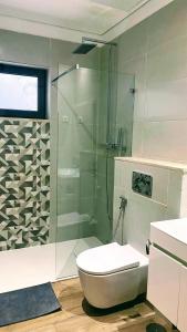 普拉亚Sea Views Apartments Gamboa的一间带卫生间和玻璃淋浴间的浴室