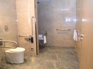 亚的斯亚贝巴Skylight In-Terminal Hotel的一间带卫生间和步入式淋浴间的浴室