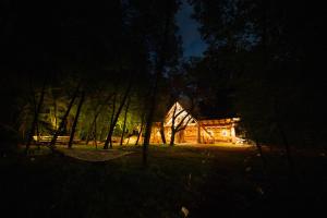 Camp Ćuk的森林中的一个小木屋