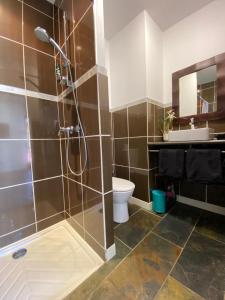 乌瑞基尼Chambre SOKA的带淋浴、卫生间和盥洗盆的浴室