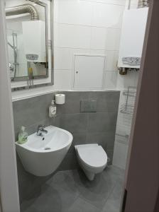 科沙林Przy Katedrze的一间带水槽、卫生间和镜子的浴室