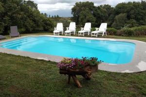 Parada de AchasLobetios - Casa rural的一个带椅子和鲜花桌的游泳池
