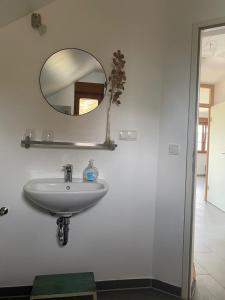 科尔新堡Michlfarm Lounge的浴室设有水槽和墙上的镜子