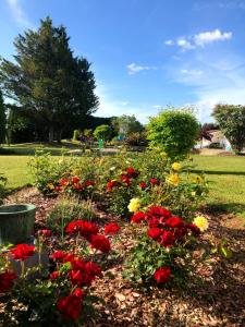 Neuville-du-Poitoulagalerne的公园里种着红色和黄色花的花园