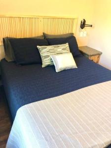 奥斯汀The Armadillo Cabin - Cabins At Rim Rock的一张蓝色的床,上面有两个枕头