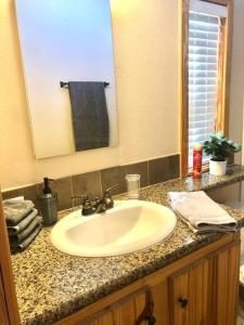 奥斯汀The Armadillo Cabin - Cabins At Rim Rock的浴室的柜台设有水槽和镜子
