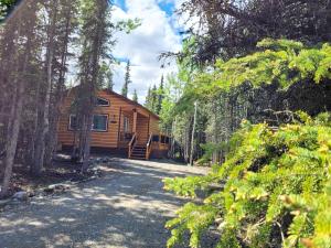 希利Denali Wild Stay - Moose Cabin, Free Wifi, 2 private bedrooms, sleep 6的树林中的小屋,前面有一条碎石路