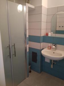 Borovná波罗乌内迪乌德酒店的一间带水槽和淋浴的浴室