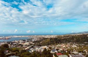 帕皮提Meherio - Bel Appartement vue mer à TAHITI的城市和海洋的空中景观