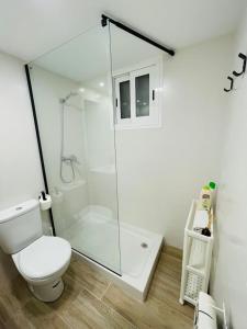 萨拉戈萨PALACIO DE LARRINAGA的一间带卫生间和玻璃淋浴间的浴室